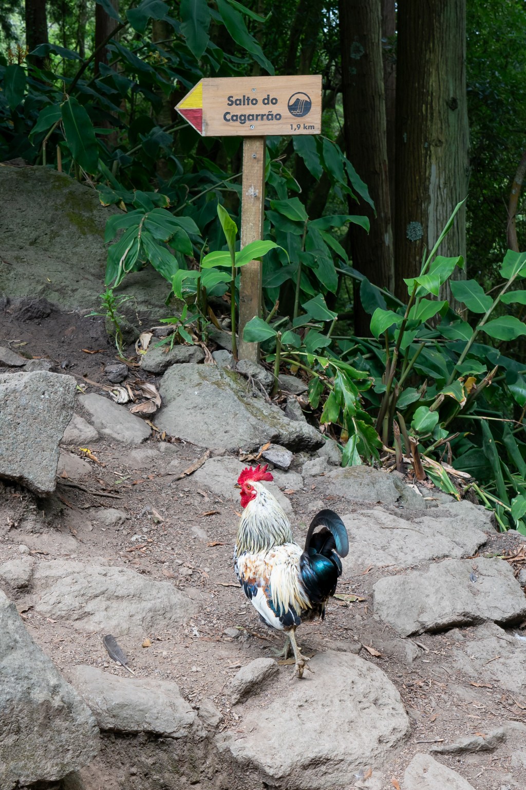 Trilho do Sanguinho e Cascata do&nbsp;Prego