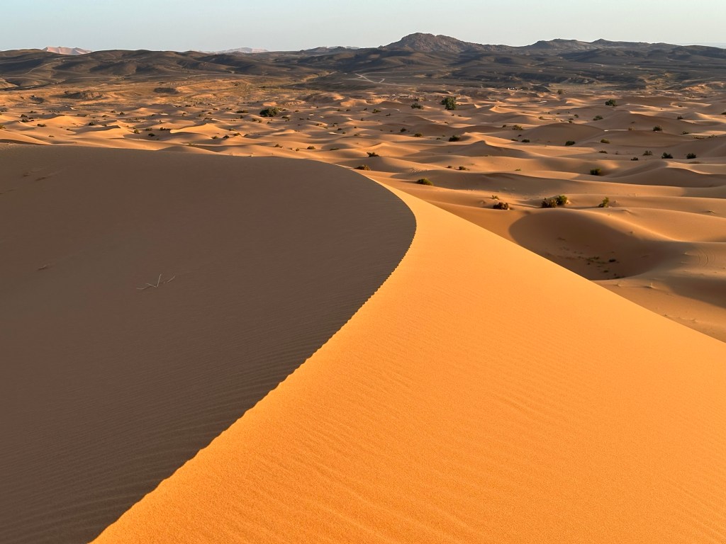 duna di sabbia del deserto
